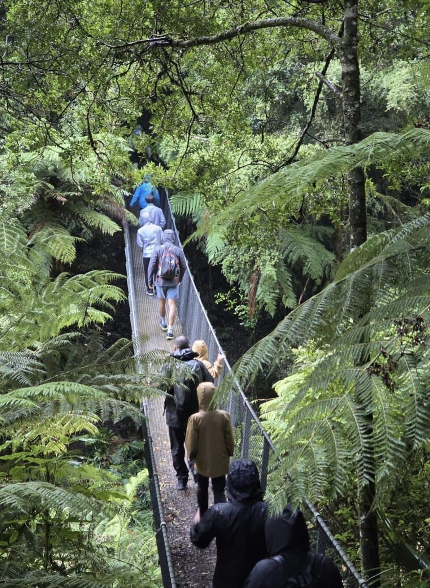 Bush walk day out